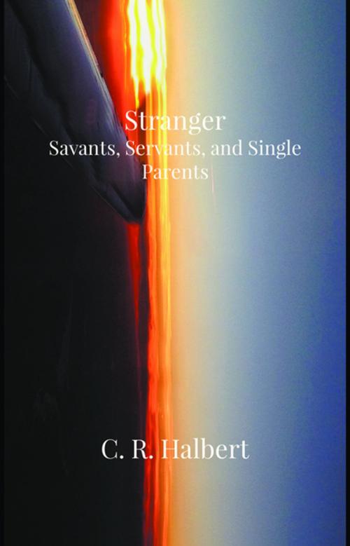 Cover of the book Stranger by C. R. Halbert, Books-A-Million