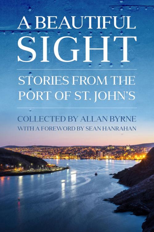 Cover of the book A Beautiful Sight by Allan Byrne, Flanker Press