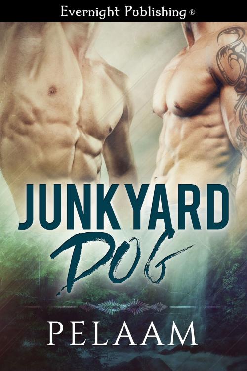 Cover of the book Junkyard Dog by Pelaam, Evernight Publishing