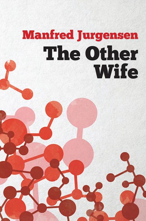 Cover of the book The Other Wife by Manfred Jurgensen, Hybrid Publishers