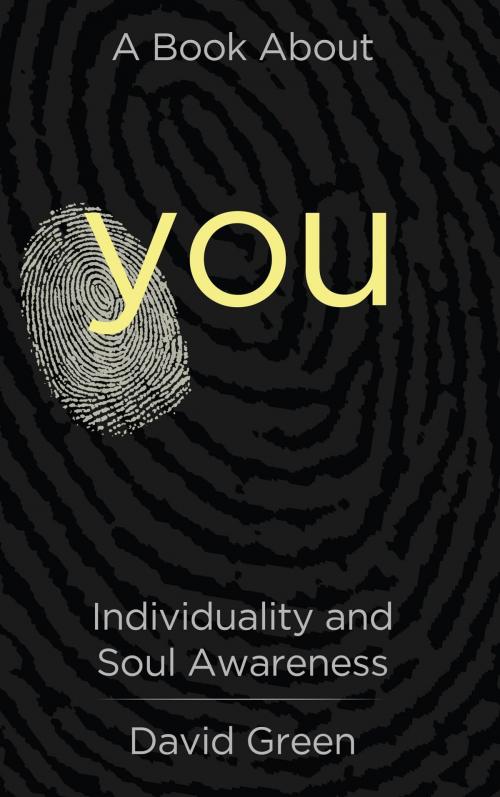 Cover of the book A Book About You by David Green, david green