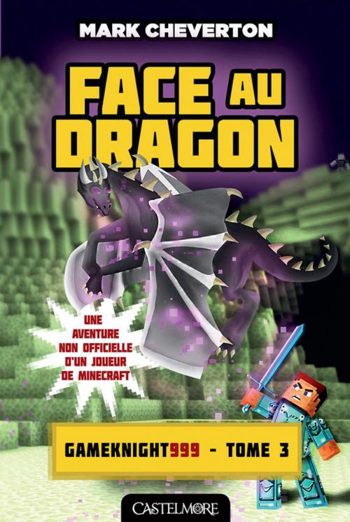 Cover of the book Face au Dragon by Mark Cheverton, Milady