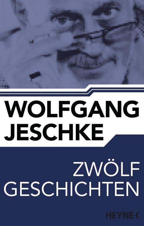 Cover of the book Zwölf Geschichten by Wolfgang Jeschke, Heyne Verlag