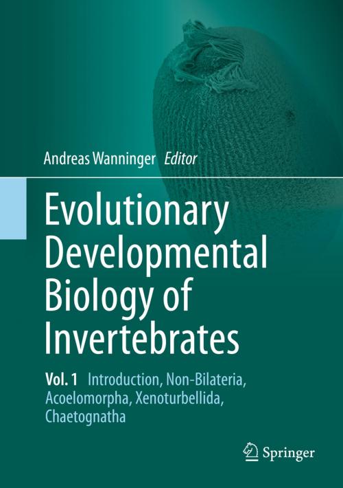 Cover of the book Evolutionary Developmental Biology of Invertebrates 1 by , Springer Vienna