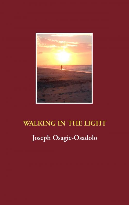 Cover of the book Walking in the Light by Joseph Osagie-Osadolo, Books on Demand