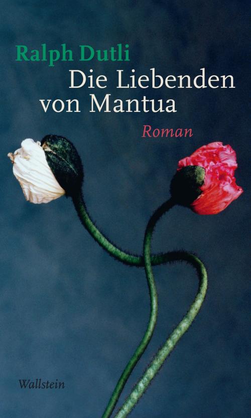 Cover of the book Die Liebenden von Mantua by Ralph Dutli, Wallstein Verlag