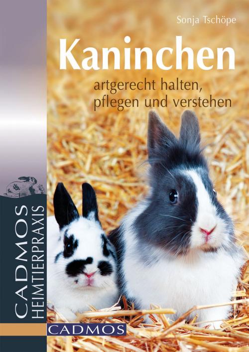 Cover of the book Kaninchen by Sonja Tschöpe, Cadmos Verlag