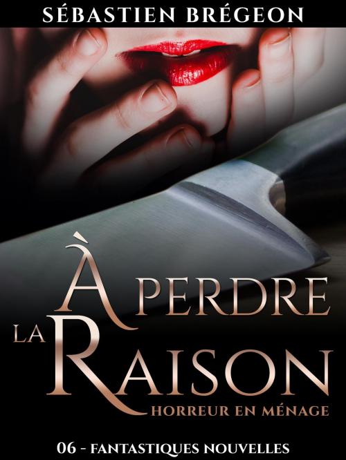 Cover of the book À perdre la raison by Sébastien Brégeon, Sébastien Brégeon
