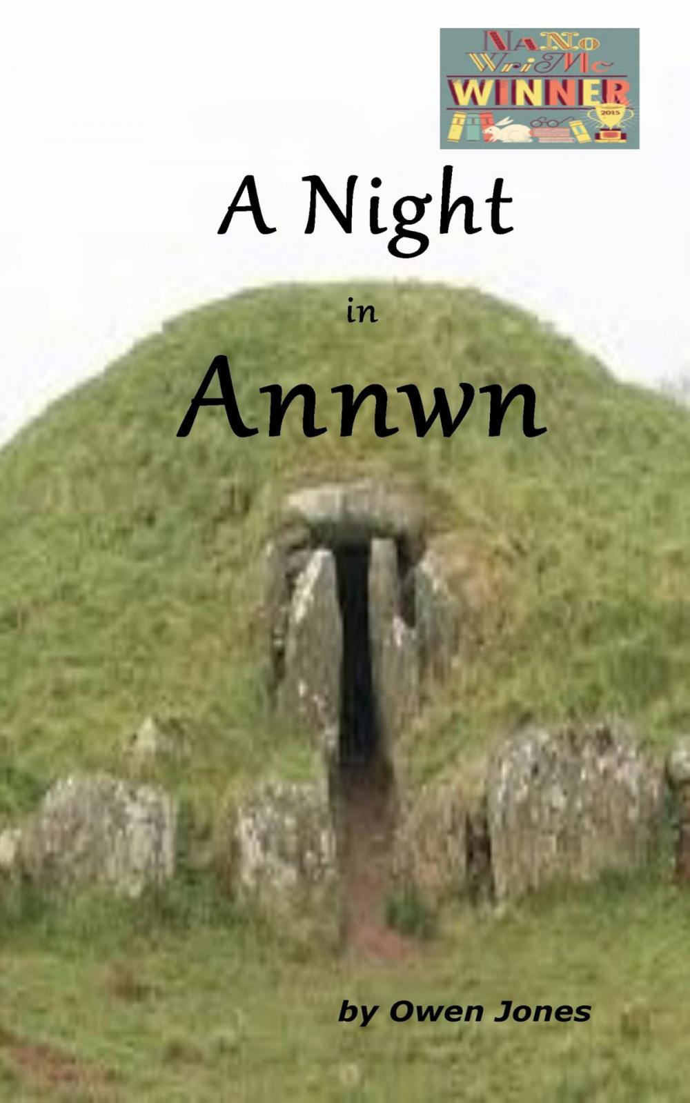 Big bigCover of A Night in Annwn