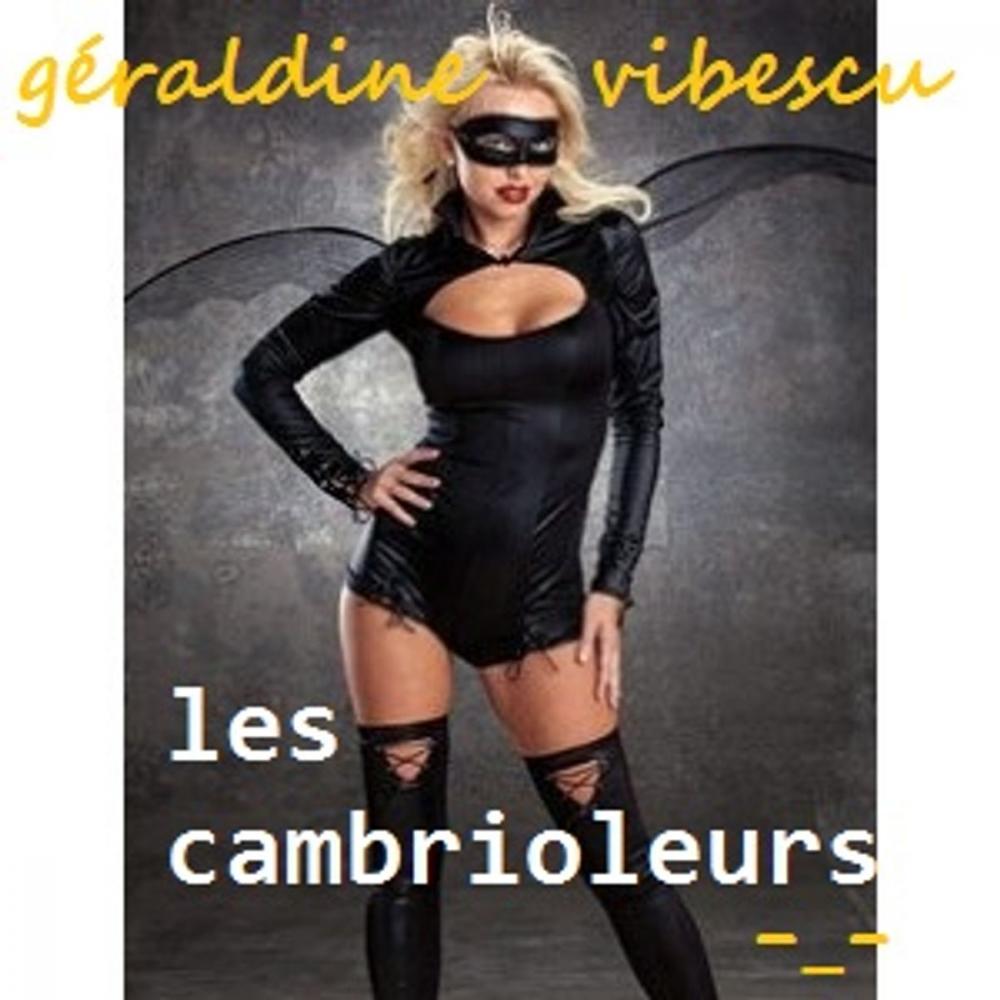 Big bigCover of Les cambrioleurs