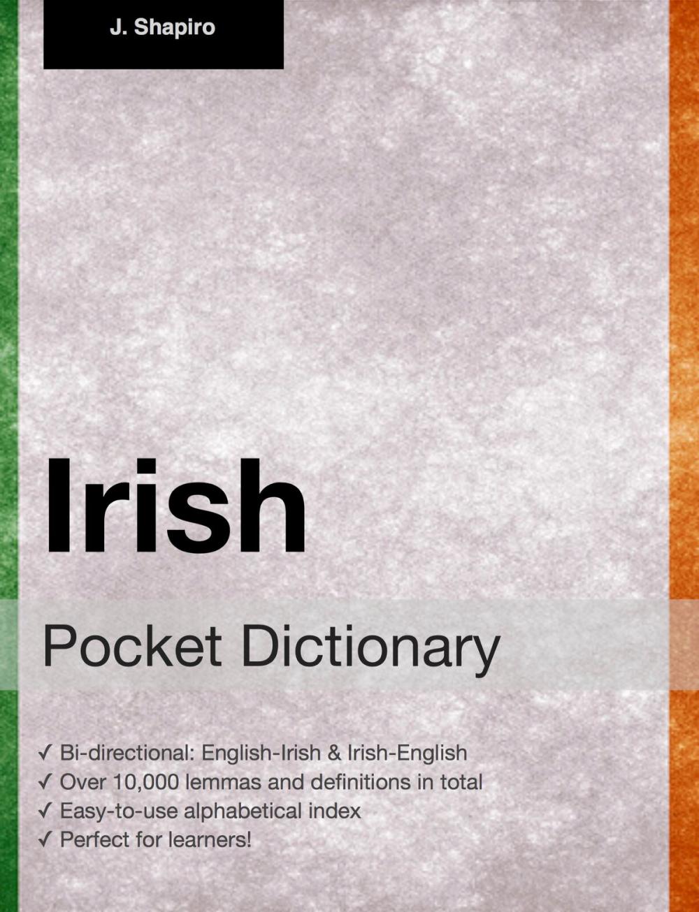 Big bigCover of Irish Pocket Dictionary