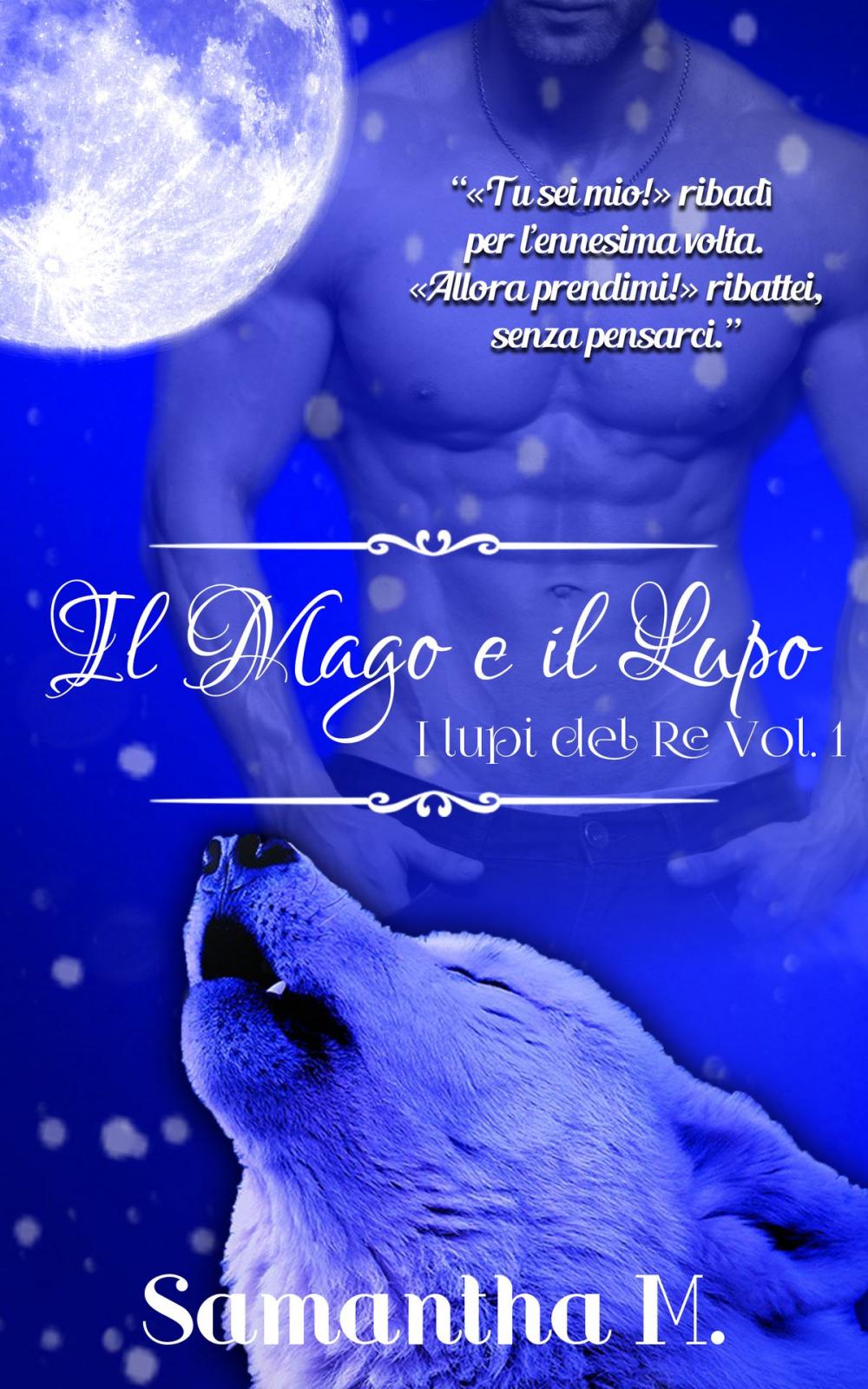 Big bigCover of Il Mago e Il Lupo