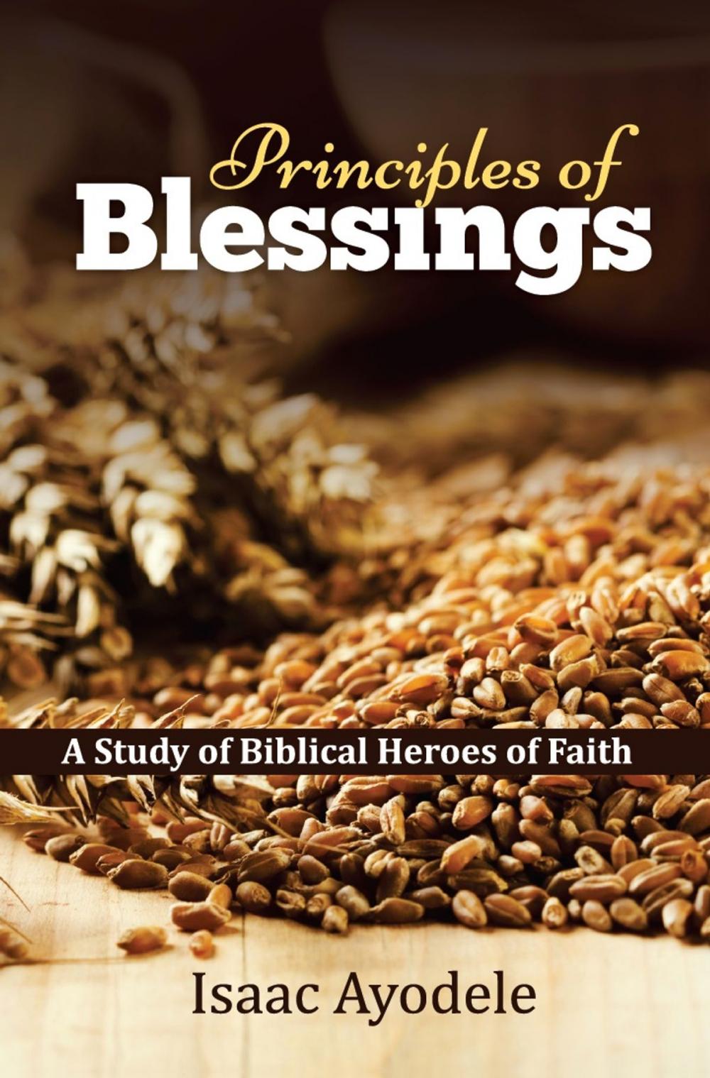 Big bigCover of Principles of Blessings