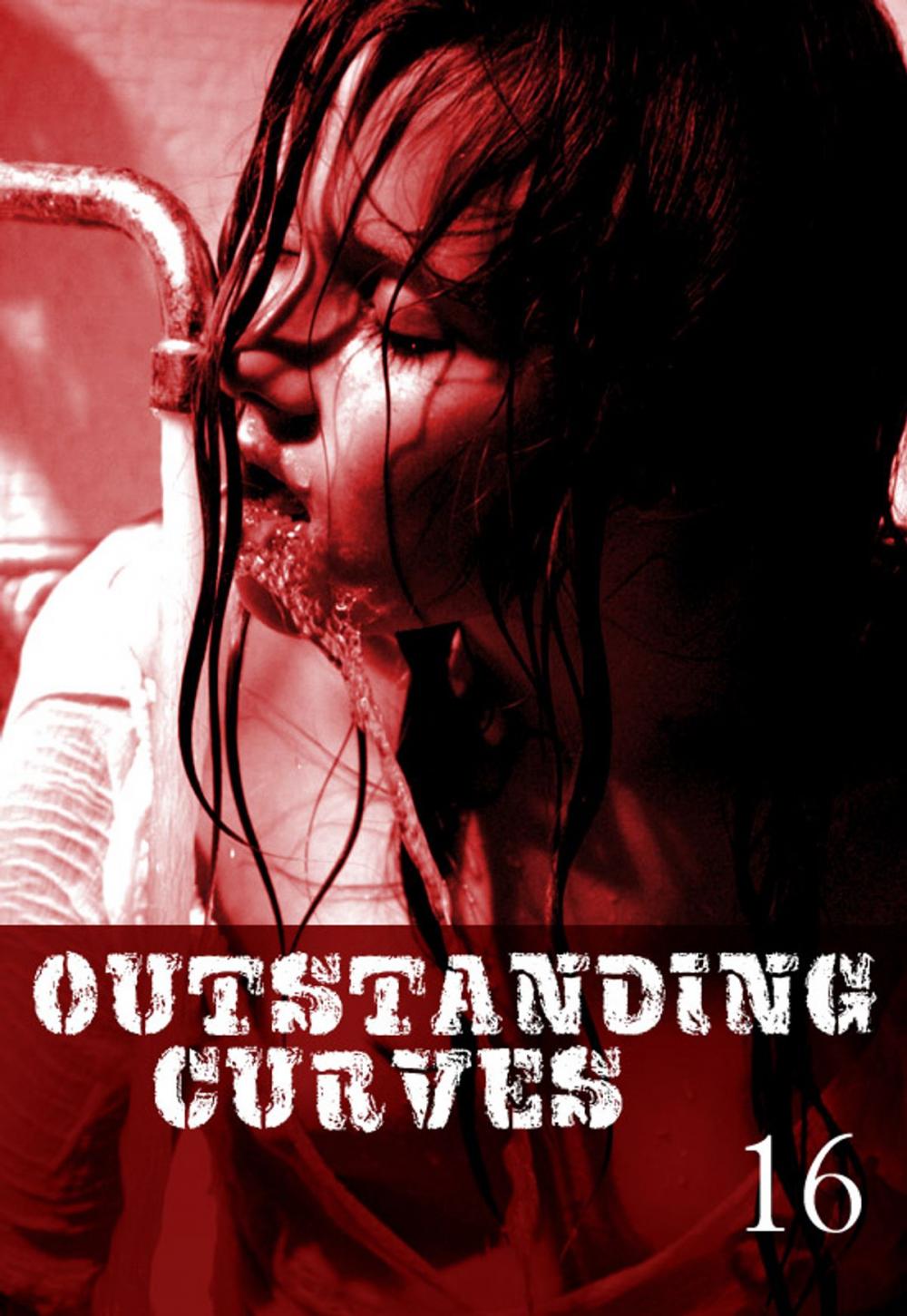 Big bigCover of Outstanding Curves Volume 16 - A sexy photo book