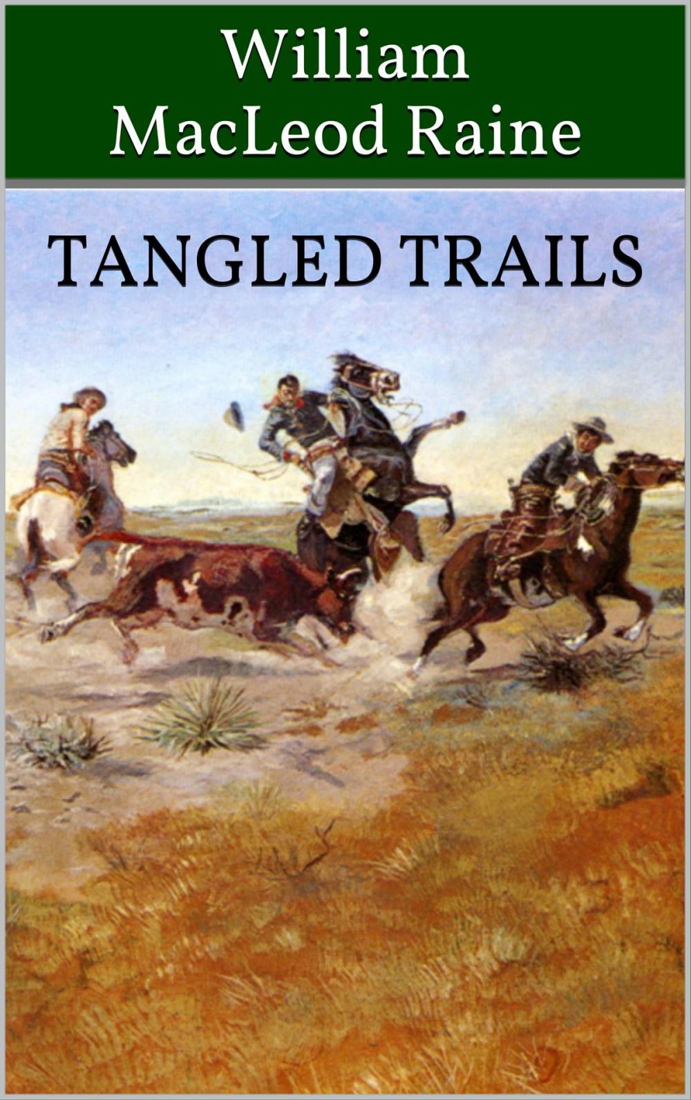 Big bigCover of Tangled Trails