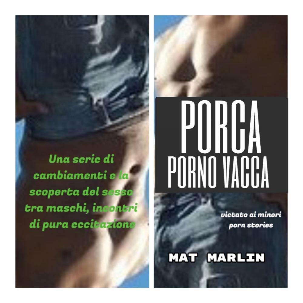 Big bigCover of Porca porno vacca (porn stories)