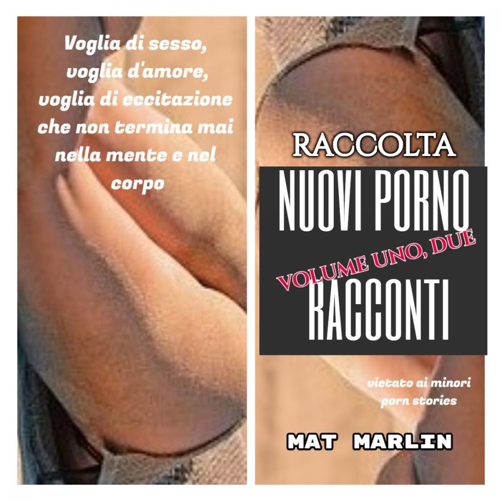 Big bigCover of Raccolta nuovi porno racconti (porn stories)