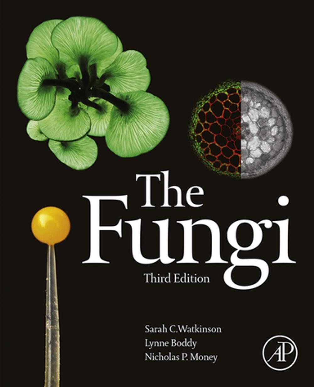 Big bigCover of The Fungi