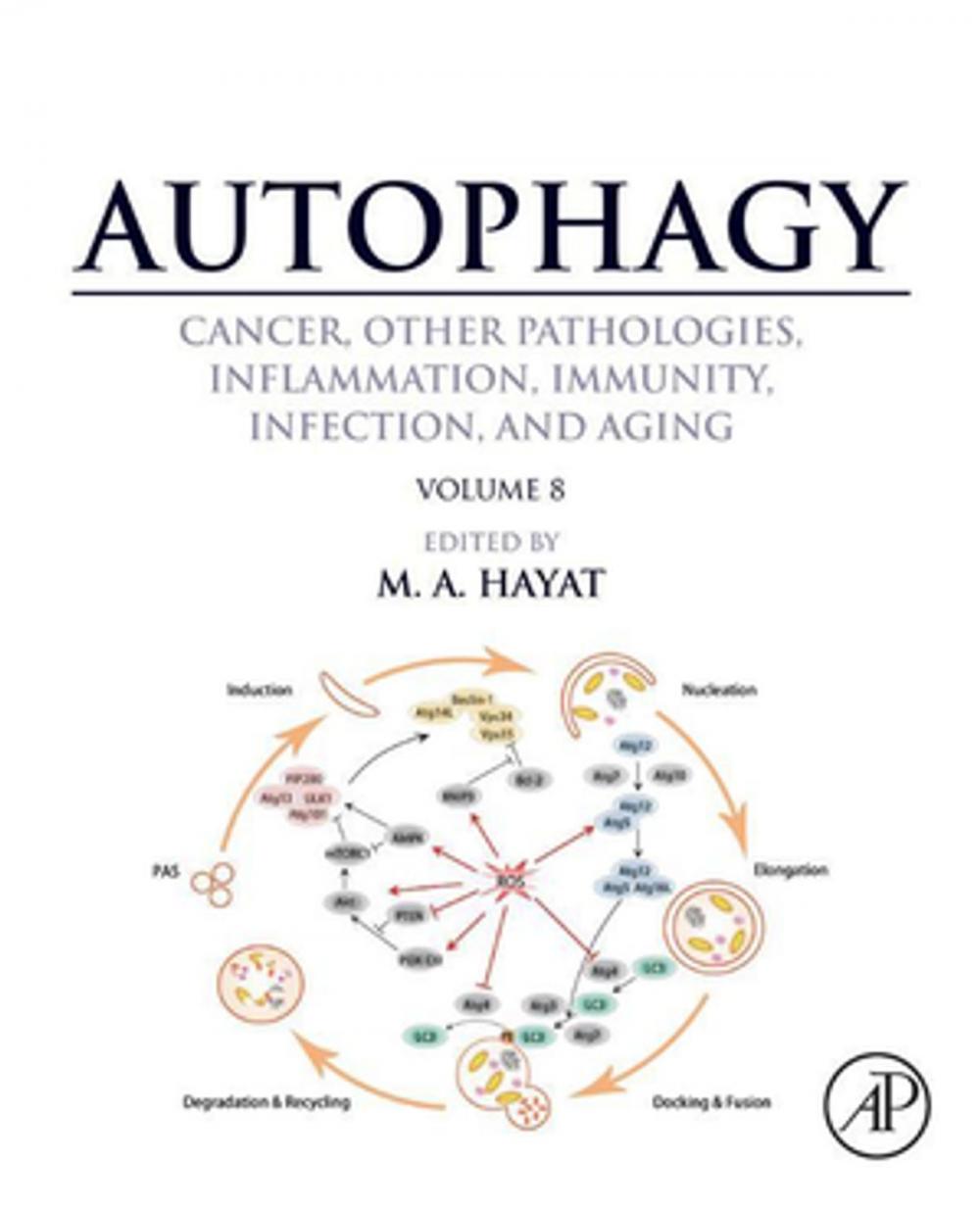 Big bigCover of Autophagy: Cancer, Other Pathologies, Inflammation, Immunity, Infection, and Aging