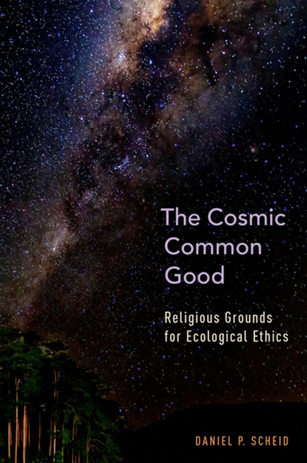 Big bigCover of The Cosmic Common Good