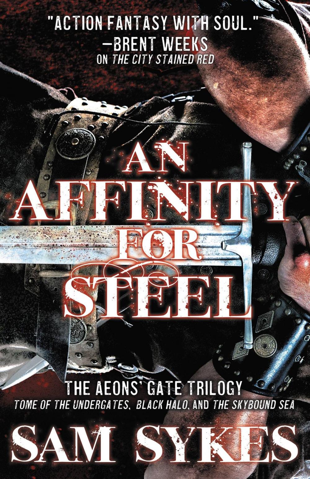 Big bigCover of An Affinity for Steel