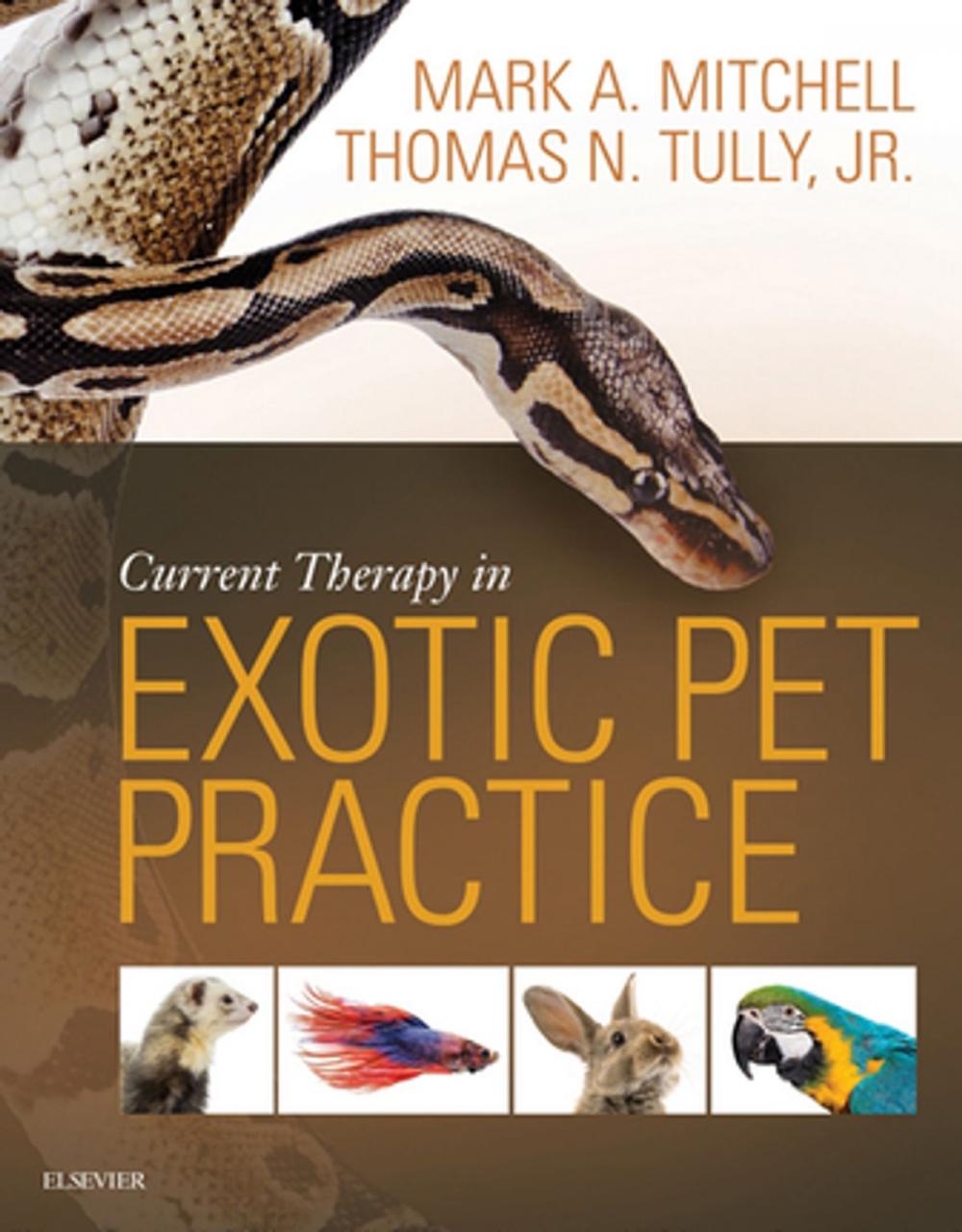 Big bigCover of Current Therapy in Exotic Pet Practice - E-Book