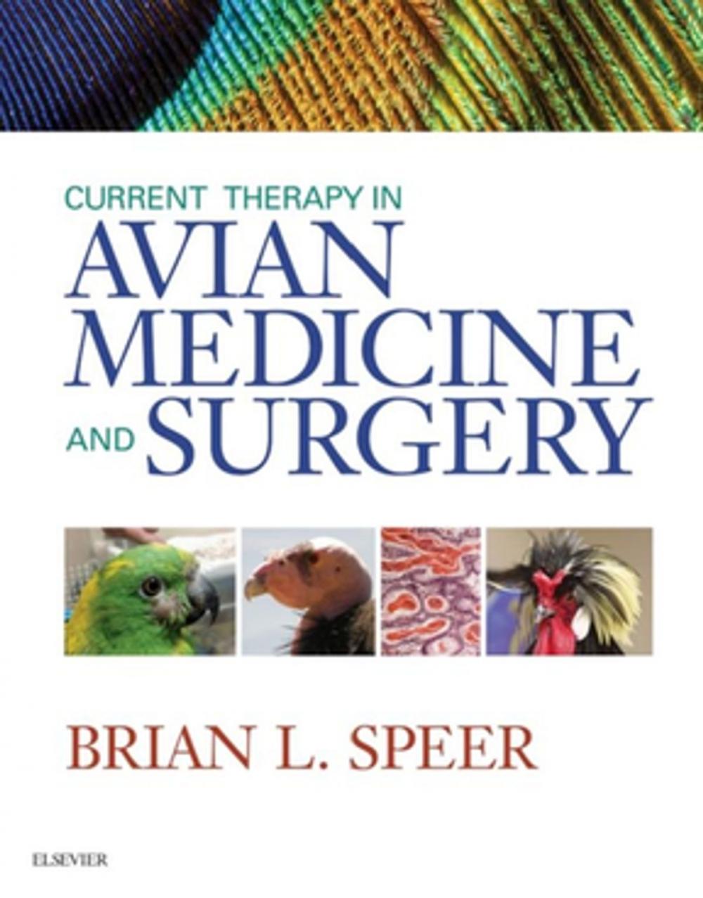 Big bigCover of Current Therapy in Avian Medicine and Surgery - E-Book