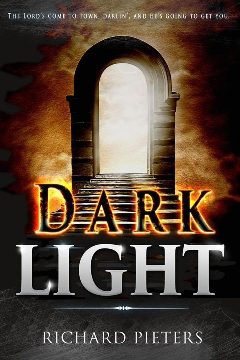 Big bigCover of Dark Light