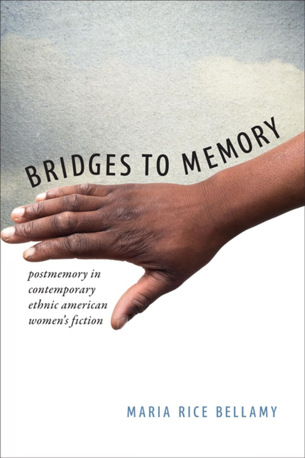 Big bigCover of Bridges to Memory