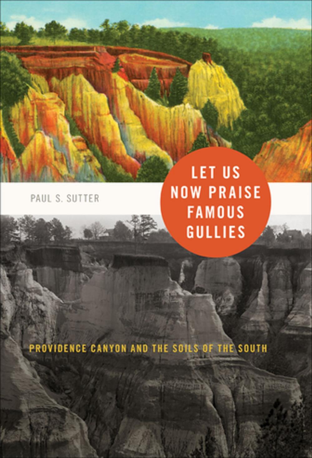 Big bigCover of Let Us Now Praise Famous Gullies