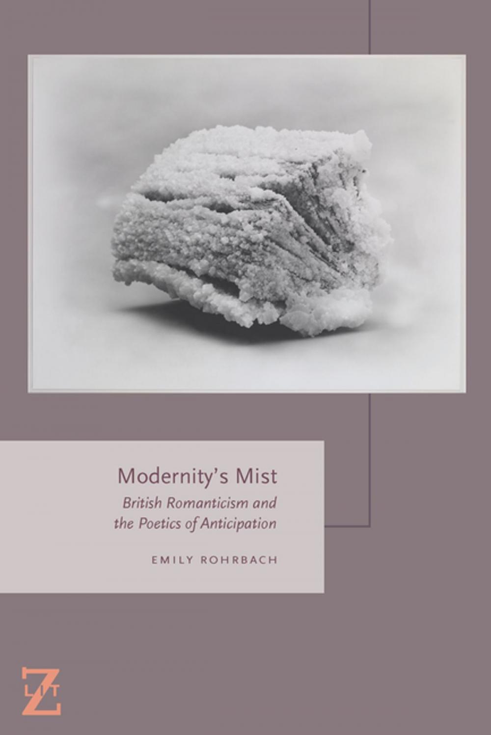 Big bigCover of Modernity's Mist