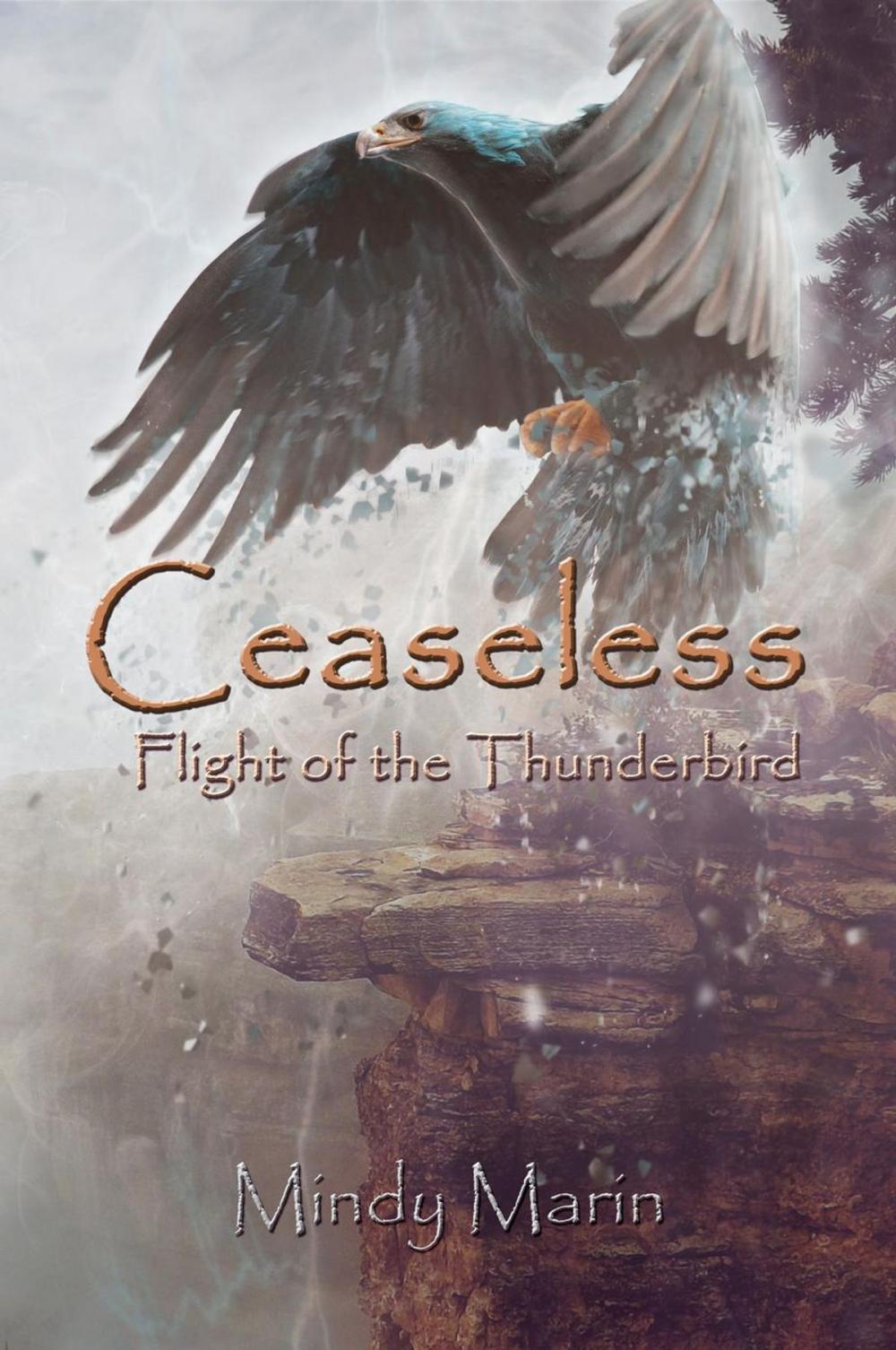 Big bigCover of Ceaseless: Flight of the Thunderbird