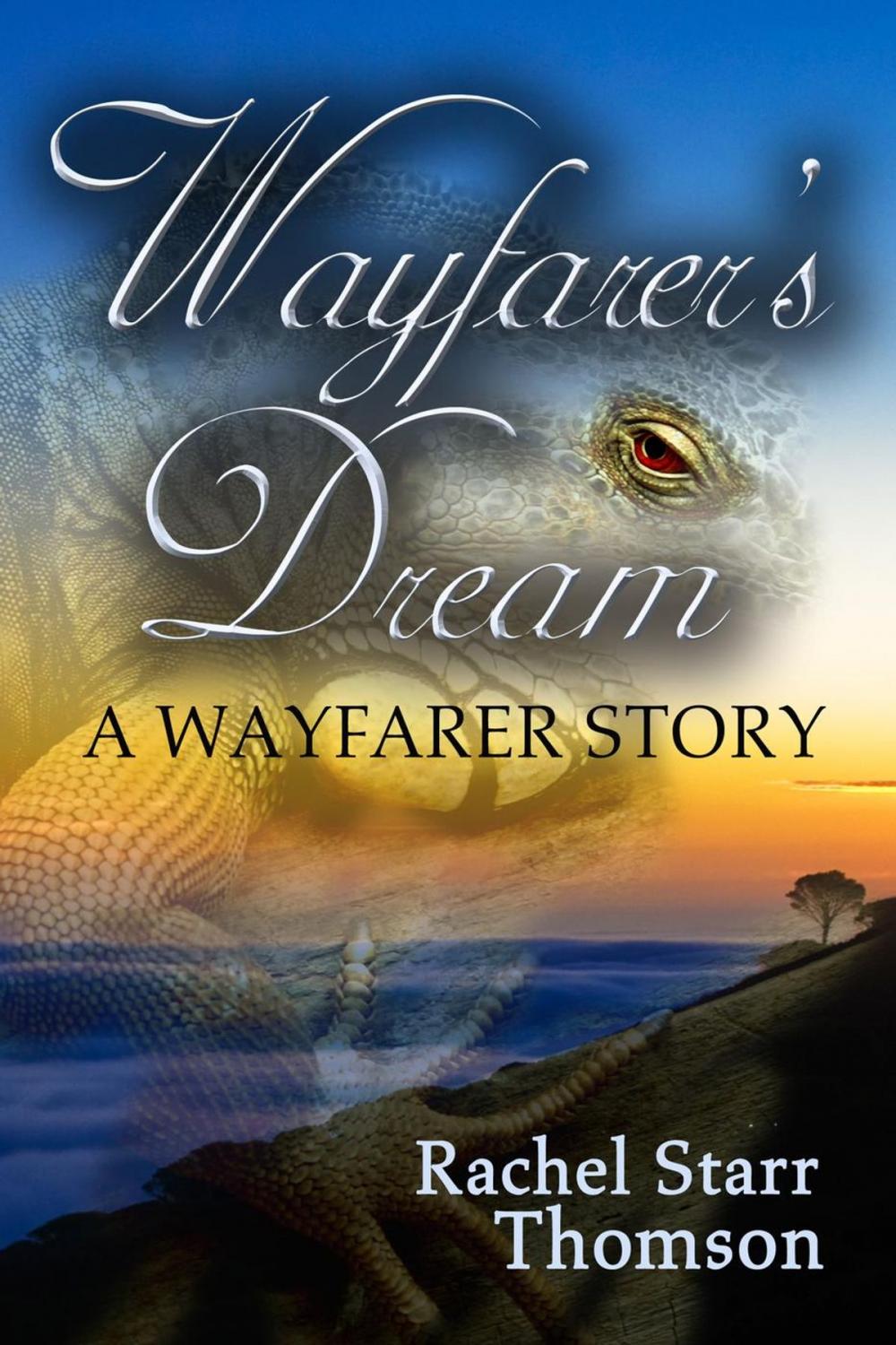 Big bigCover of Wayfarer's Dream