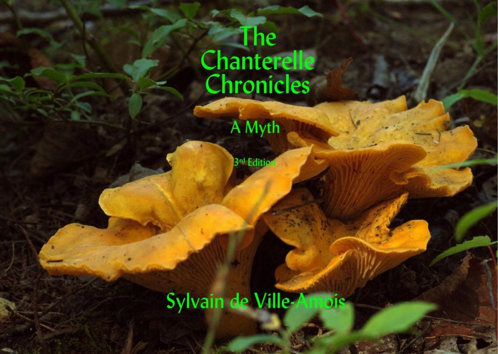 Big bigCover of The Chanterelle Chronicles