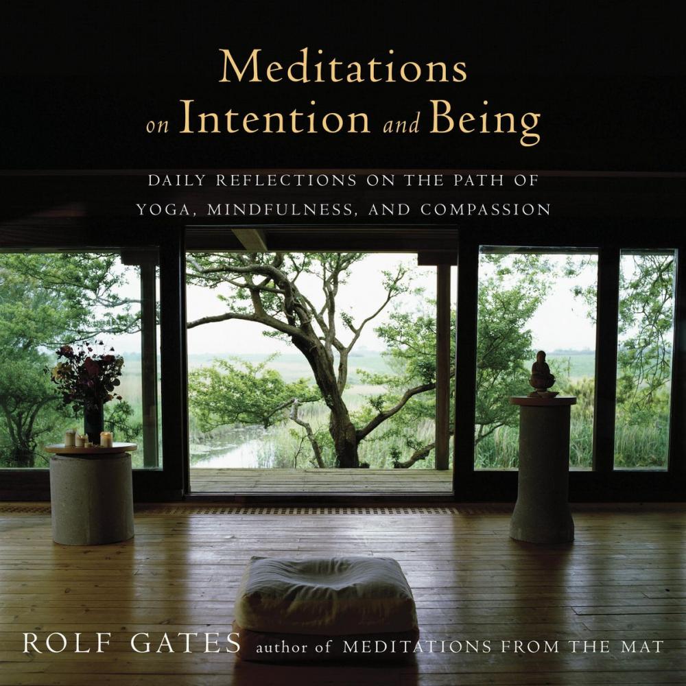 Big bigCover of Meditations on Intention and Being