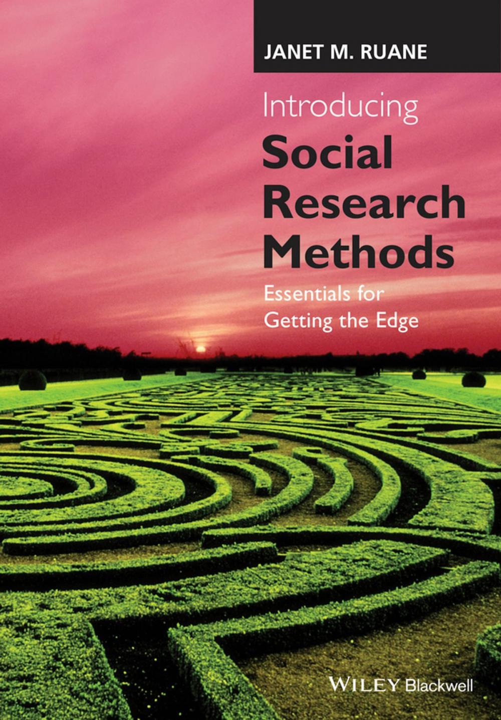 Big bigCover of Introducing Social Research Methods