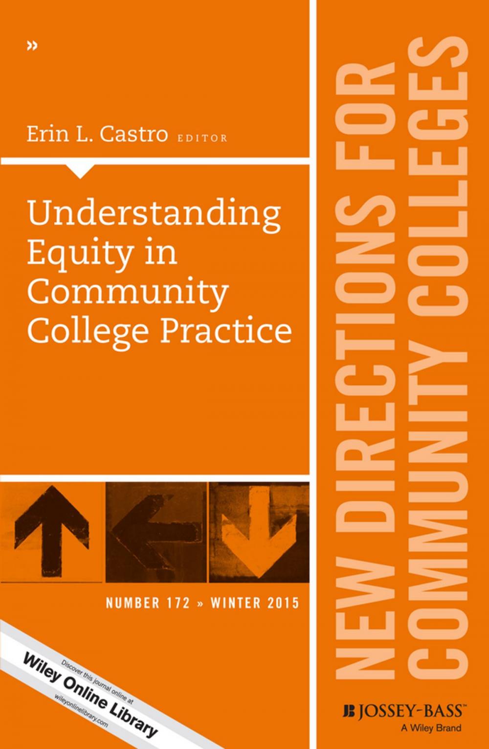 Big bigCover of Understanding Equity in Community College Practice