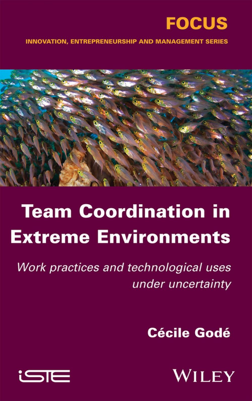 Big bigCover of Team Coordination in Extreme Environments