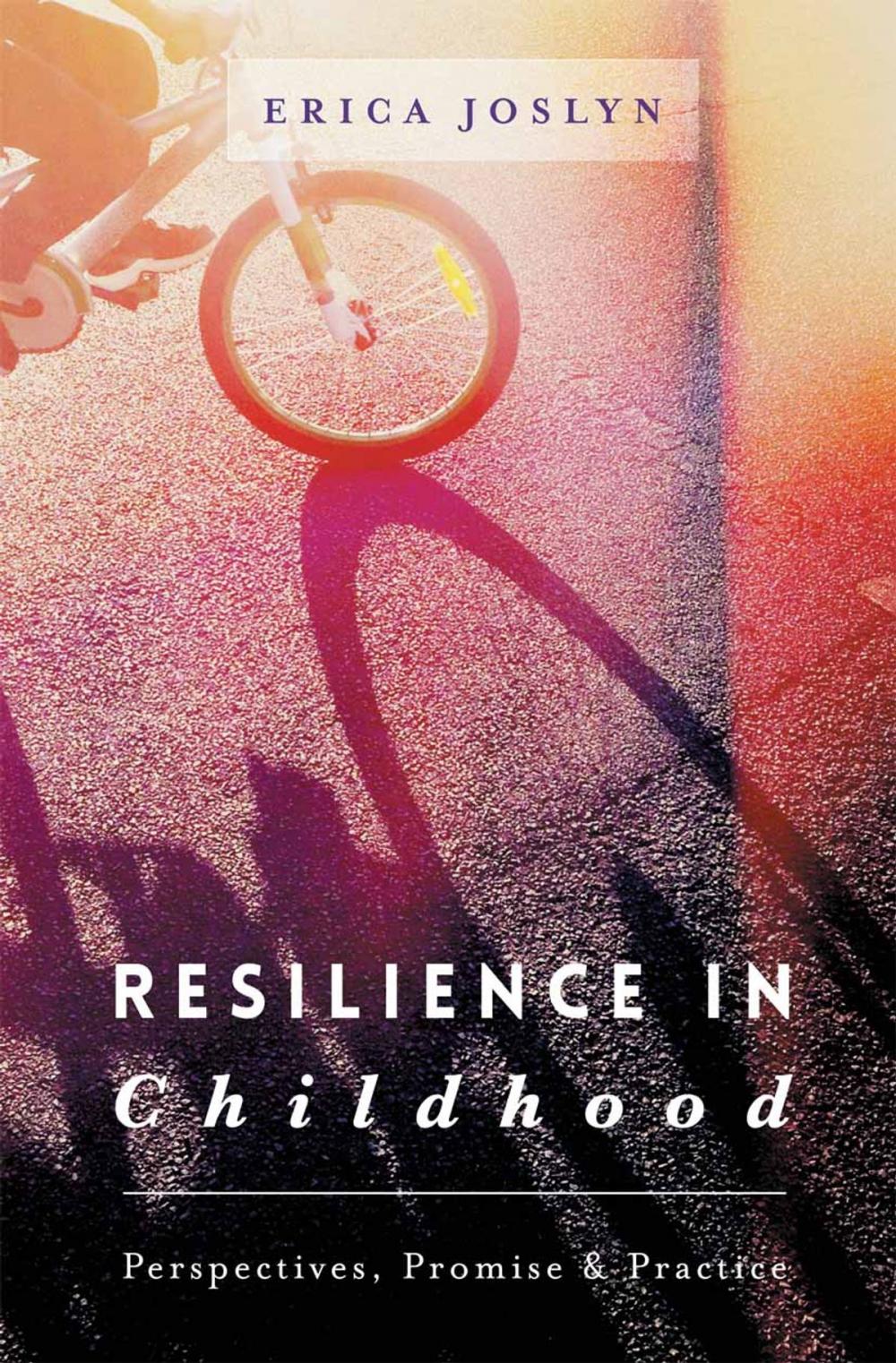 Big bigCover of Resilience in Childhood