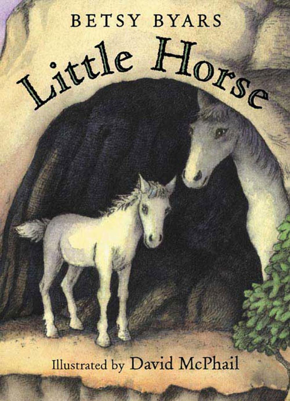 Big bigCover of Little Horse