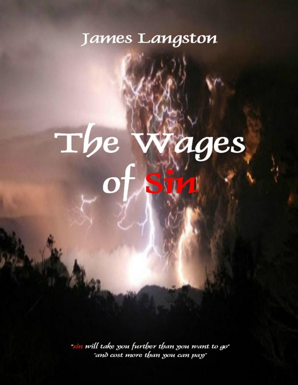 Big bigCover of The Wages of Sin