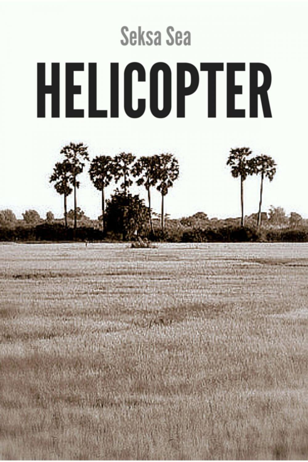 Big bigCover of Helicopter