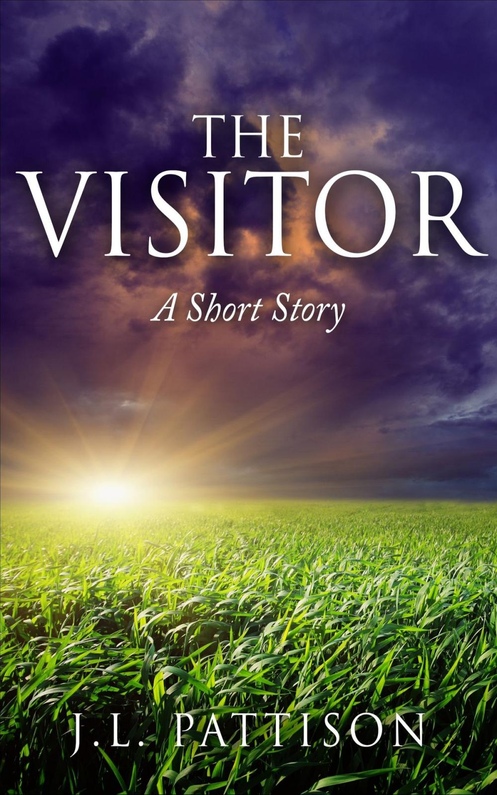 Big bigCover of The Visitor