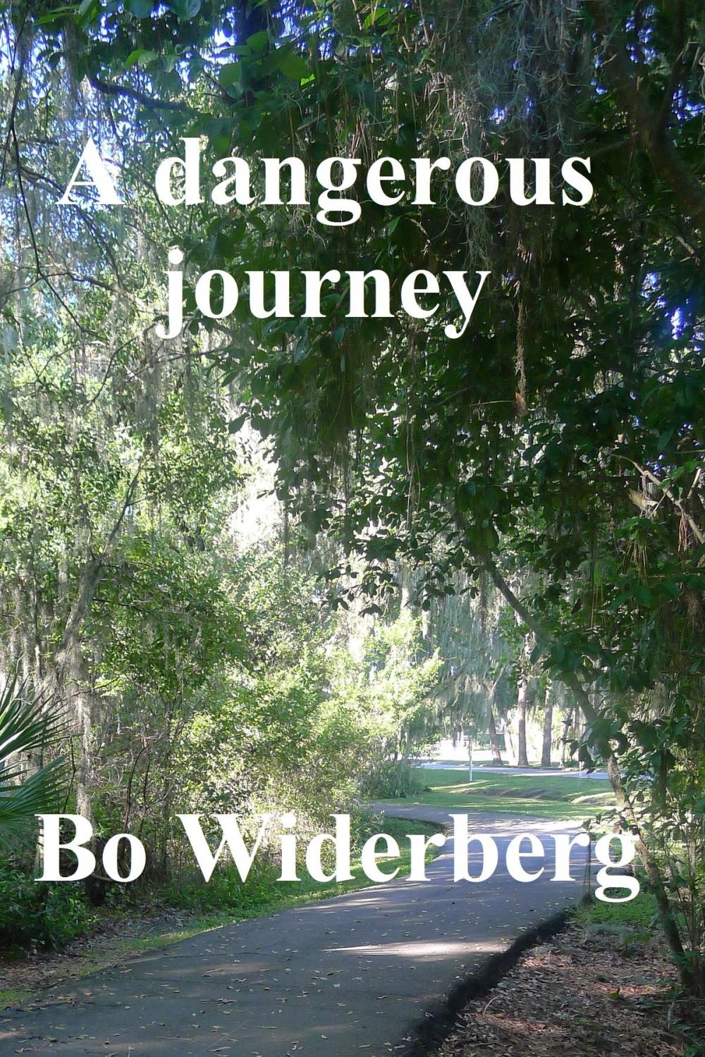 Big bigCover of A Dangerous Journey