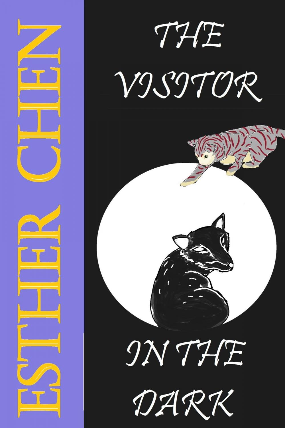 Big bigCover of Kitti The Cat: The Visitor In The Dark