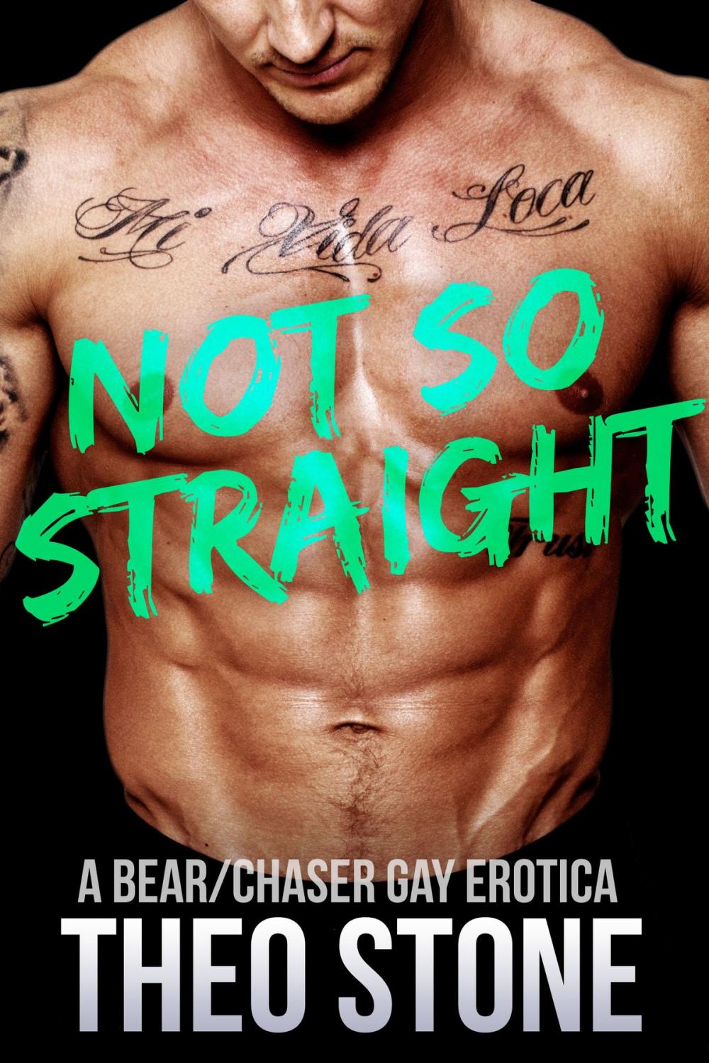 Big bigCover of Not So Straight...