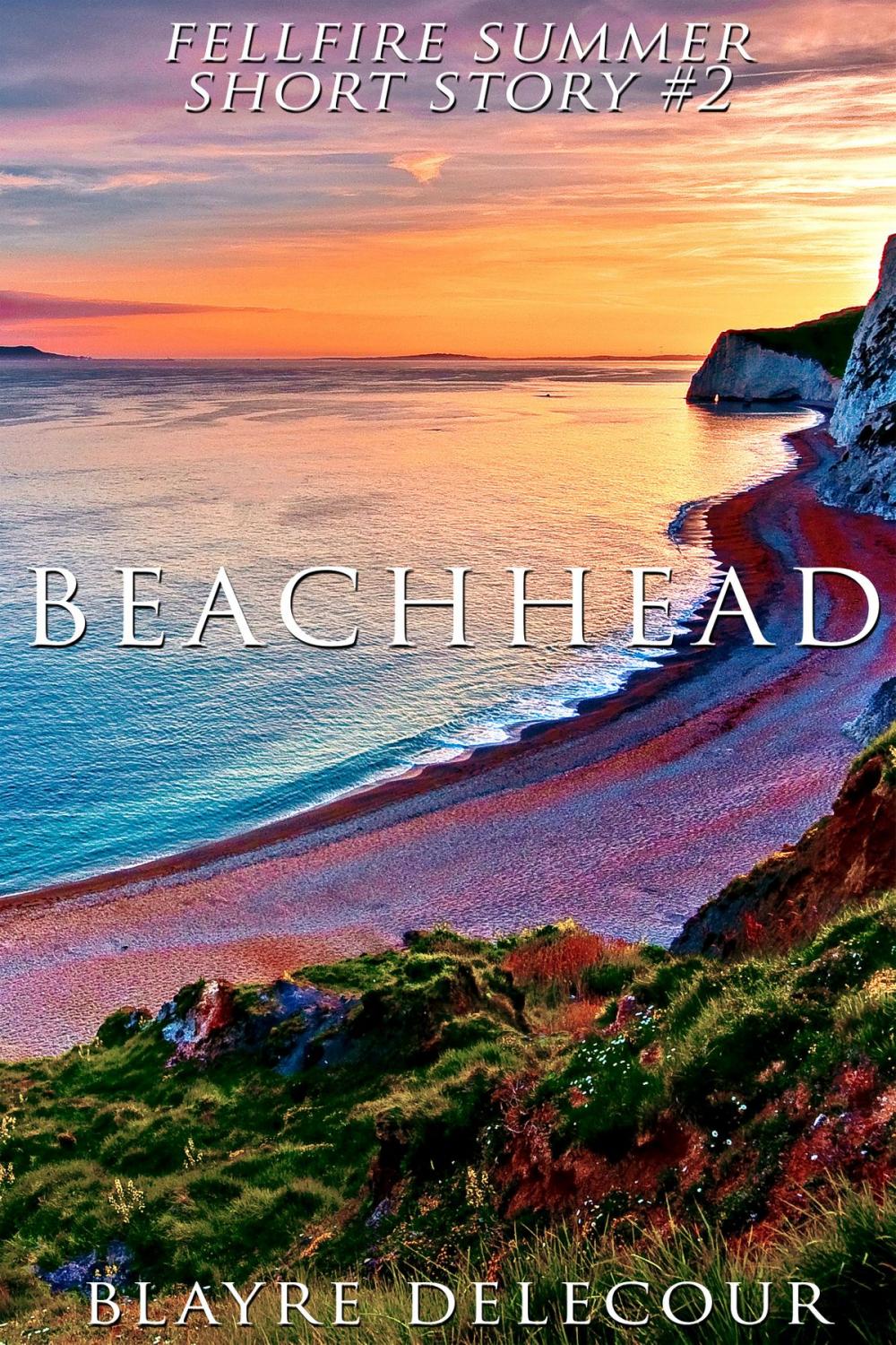 Big bigCover of Beachhead (Fellfire Summer Short Story #2)