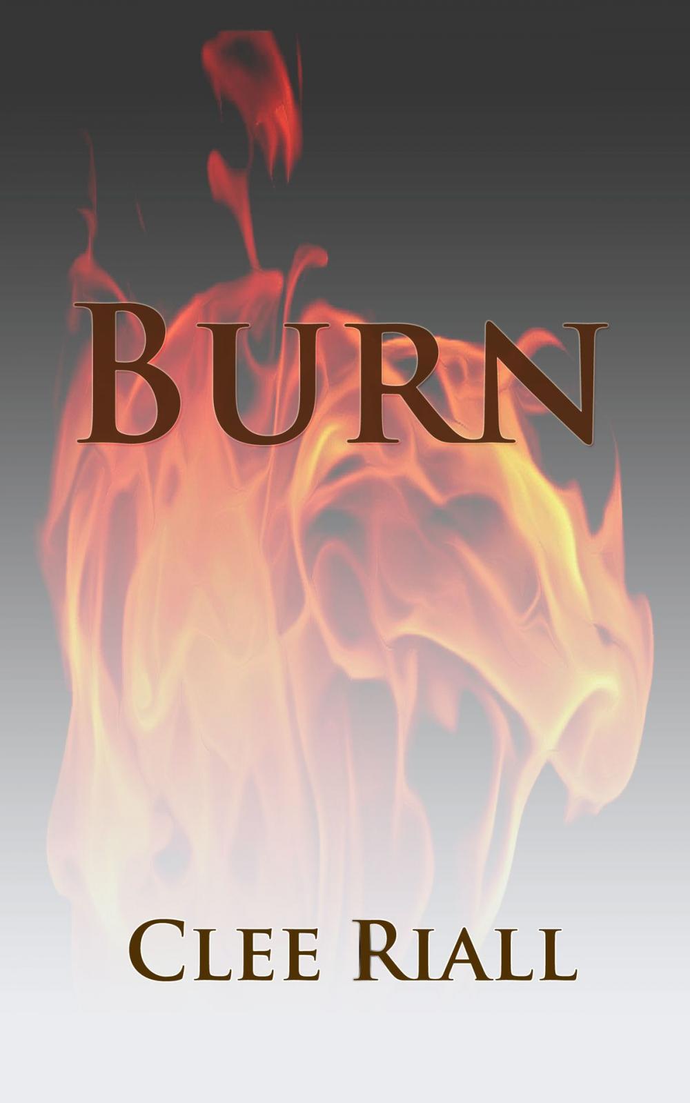 Big bigCover of Burn (A Tori Nichols Escapade, Book 3)