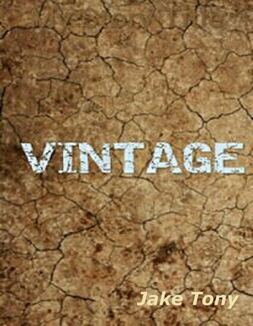 Big bigCover of Vintage