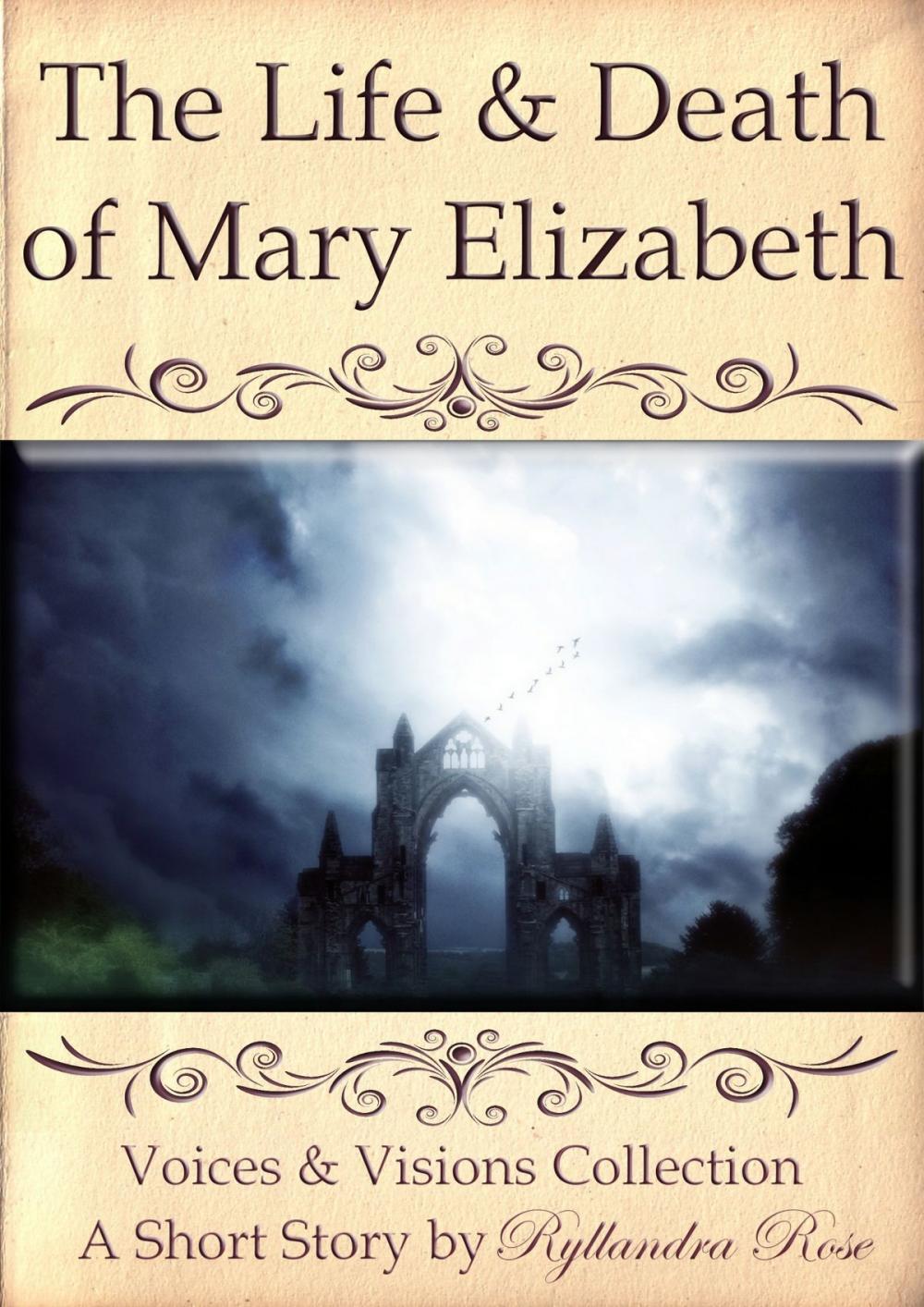 Big bigCover of The Life & Death of Mary Elizabeth Voices & Visions Collection